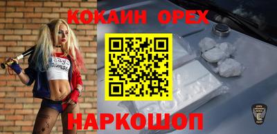 прущие грибы Будённовск