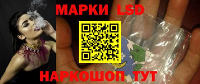 прущие грибы Будённовск