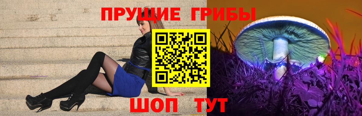 Азов  Псилоцибиновые грибы мухоморы  Вход с VPN 
